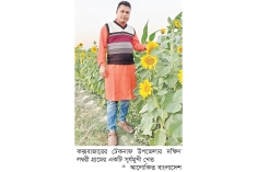 টেকনাফে বাড়ছে সূর্যমুখী চাষ  