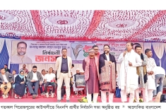 কাউখালীতে বিএনপি প্রার্থীর নির্বাচনি জনসভা  
