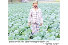 পাতাকপি চাষে বাজিমাত  