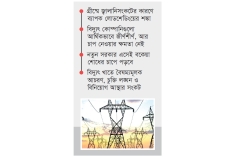 রোজায় ব্যাপক লোডশেডিংয়ের শঙ্কা বিদ্যুৎকেন্দ্রের মালিকদের  