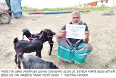 কেরানীগঞ্জের হাসেম পেল পাটনাই জাতের তিনটি ছাগী  