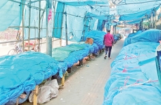 ত্রয়োদশ জাতীয় সংসদ নির্বাচন উপলক্ষে ফুটপাতের দোকানপাট ও ব্যবসা প্রতিষ্ঠানগুলো বন্ধ  