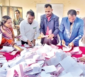 জাতীয় সংসদ নির্বাচন ও গণভোটের খণ্ডচিত্র  