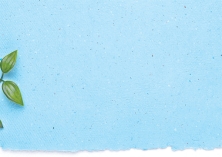 বুকভরা নীল কাগজ  