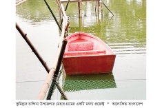 চান্দিনায় মাছ চাষে বিপ্লব  