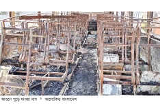 যশোরে পার্কিং করা বাসে আগুন  