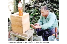 পাহাড়ি এলাকায় জনপ্রিয় হয়ে উঠছে মধু চাষ  