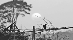 নতুন সরকার, নতুন সময় প্রত্যাশা ও বাস্তবতার সন্ধিক্ষণে বাংলাদেশ  