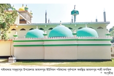 জামালপুর শাহী মসজিদ  