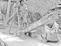 মানুষ শব্দটি আজ বিলুপ্তির পথে  