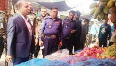 দেবহাটায় ইউএনওর ভ্রাম্যমাণ আদালতে জরিমানা আদায়