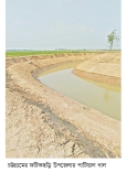 খাল খননের সুফল পাচ্ছেন চার শতাধিক কৃষক  