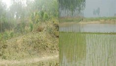 পীরগঞ্জে বিলুপ্তির পথে রাজা ভীম চন্দ্রের প্রাসাদ