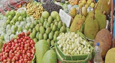 স্বাস্থ্য সুরক্ষায় দেশি ফলের ভূমিকা  