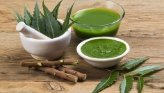 লিভার সুস্থ রাখতে কচি নিম পাতার প্রাকৃতিক শক্তি