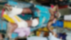 মাগুরায় আধিপত্য বিস্তার নিয়ে দুই গ্রুপের সংঘর্ষ, আহত ১০