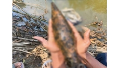 শ্রীমঙ্গলে অবিস্ফোরিত মর্টার শেল উদ্ধার