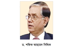 শেখ রেহানার স্বামী ড. শফিকের আয়কর নথি জব্দ  