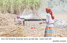 আখের গুড় উৎপাদন বেড়েছে দাম নিয়ে হতাশ কৃষক  