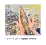 শ্রীমঙ্গলে অবিস্ফোরিত মর্টার শেল উদ্ধার 