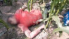 লালমনিরহাটে ভুট্টা ক্ষেত থেকে যুবকের মরদেহ উদ্ধার
