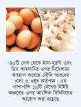 বাংলাদেশ থেকে মুরগি ও ডিম আমদানিতে সৌদির নিষেধাজ্ঞা  