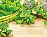 মস্তিষ্কের কর্মক্ষমতা বাড়াতে  