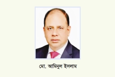 ‘ট্রাইব্যুনালে বিচার থমকে যাওয়ার শঙ্কা নেই’  