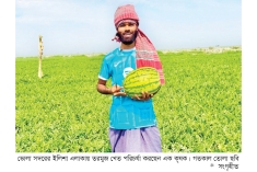 আগাম তরমুজ চাষে লাভবান দক্ষিণ উপকূলের কৃষক  