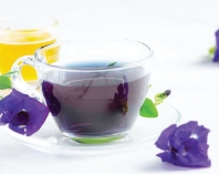 অপরাজিতা চা খেলে কী হয়  