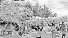 পলিথিনমুক্ত বাংলাদেশ ও পাটের সোনালি সম্ভাবনা  