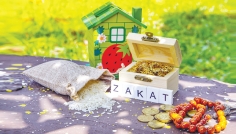 সম্পদের ভারসাম্য রক্ষার কৌশল