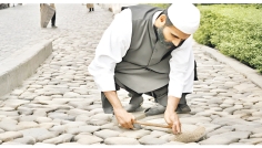 পথের কষ্টদায়ক বস্তু সরানো সদকা