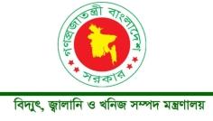 জ্বালানি সংকটের শঙ্কা: ব্যক্তিগত গাড়ি কম ব্যবহারের পরামর্শ