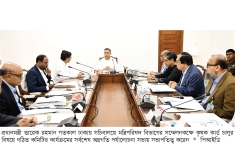 সব সরকারি পরিত্যক্ত ভবন চিকিৎসাকেন্দ্র করার নির্দেশ প্রধানমন্ত্রীর  