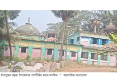 ৫০০ বছরের ঐতিহ্যের নিদর্শন পালগীরির জামে মসজিদ  