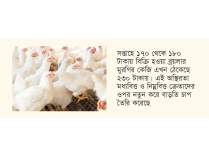 সপ্তাহের ব্যবধানে ব্রয়লারের দাম বাড়ল ৫০ টাকা  