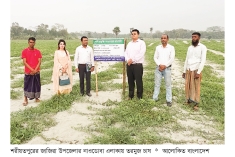 শরীয়তপুরের চরাঞ্চলে তরমুজ চাষে নতুন সম্ভাবনা  