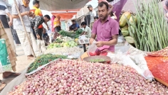 ভালো ফলনেও পেঁয়াজের দাম না পেয়ে দিশেহারা ঈশ্বরদীর চাষিরা