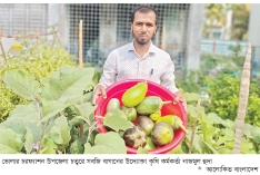 উপজেলা পরিষদের পরিত্যক্ত জমিতে সবজি চাষ  