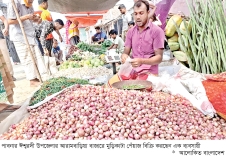মুড়িকাটা পেঁয়াজের দাম না পেয়ে দিশাহারা কৃষক  