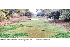 ঐতিহাসিক উলাশী যদুনাথপুর খাল সংস্কারের দাবি  