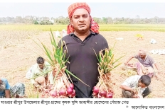 মাগুরায় লক্ষ্যমাত্রার চেয়ে বেশি পেঁয়াজ উৎপাদনের সম্ভাবনা  
