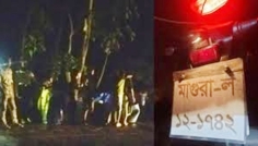 হালকা ঝড়ে গাছের ডাল পড়ে ২ পথচারীর মৃত্যু