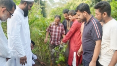 কাটা গাছের তিন গুণ গাছ লাগিয়েছে বেরোবি প্রশাসন
