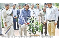 সংসদ প্রাঙ্গণে গাছ লাগালেন স্পিকার ও ডেপুটি স্পিকার  