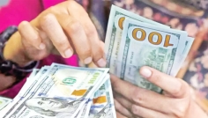 প্রবাসী আয়ে গতি, ১৪ দিনেই দেশে এলো ২২০ কোটি ডলার