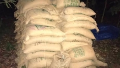 সিরাজগঞ্জে জঙ্গল থেকে ৯৫ বস্তা সরকারি চাল উদ্ধার