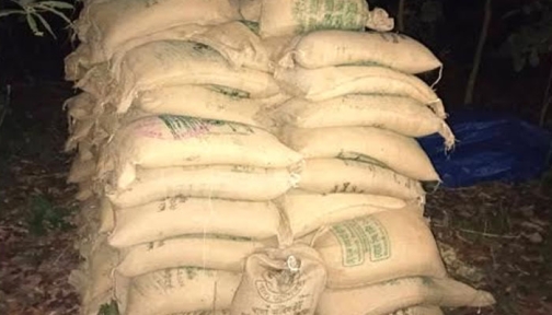 সিরাজগঞ্জে জঙ্গল থেকে ৯৫ বস্তা সরকারি চাল উদ্ধার