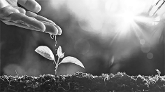 পরিবেশ সংরক্ষণে ইসলামি দৃষ্টিভঙ্গি ও আধুনিক প্রেক্ষাপট  